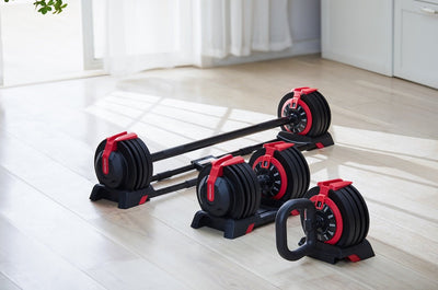 Kingsmith adjustable dumbbell 24kg - Treningsgiganten.no