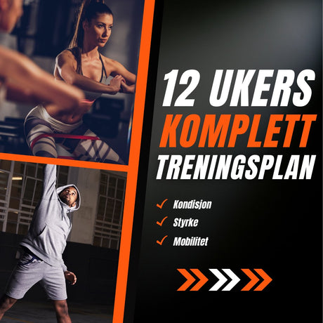 Komplett 12 ukers treningsprogram - Treningsgiganten.no